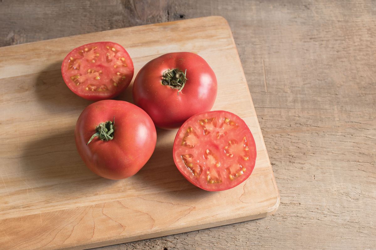 Damsel – Organic Tomato Seed